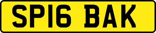 SP16BAK