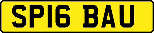 SP16BAU