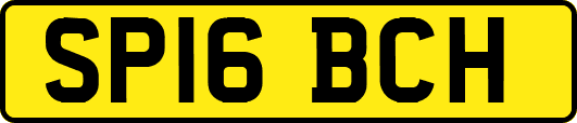SP16BCH