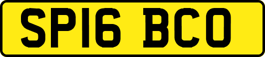 SP16BCO