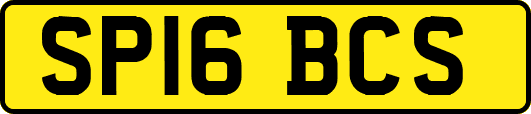 SP16BCS