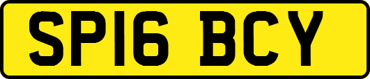 SP16BCY