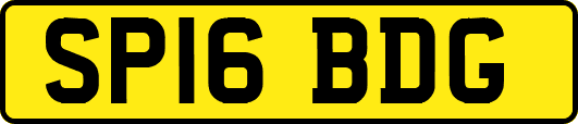 SP16BDG