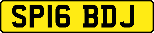 SP16BDJ