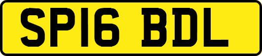 SP16BDL
