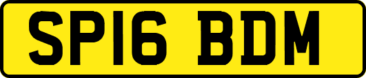 SP16BDM