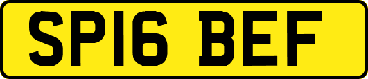 SP16BEF