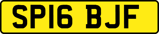 SP16BJF