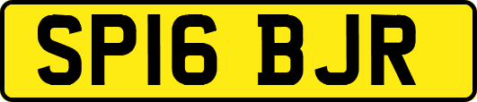 SP16BJR