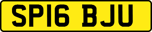 SP16BJU