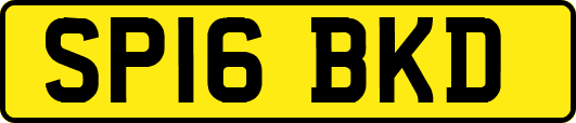 SP16BKD