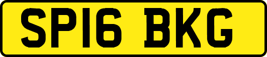 SP16BKG