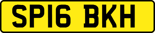 SP16BKH
