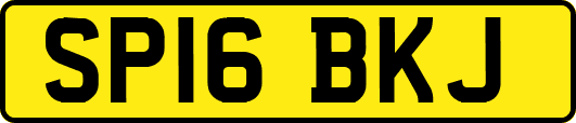 SP16BKJ