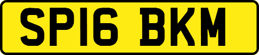 SP16BKM