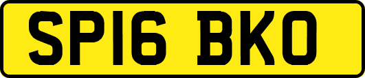 SP16BKO