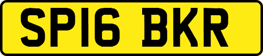 SP16BKR