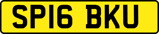 SP16BKU
