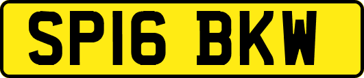 SP16BKW