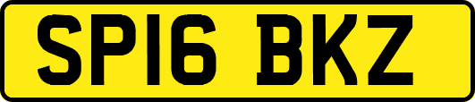 SP16BKZ