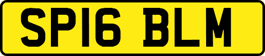 SP16BLM