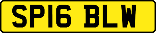 SP16BLW