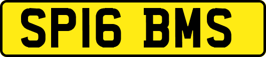 SP16BMS