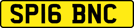 SP16BNC