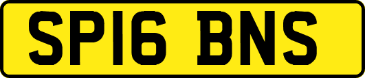 SP16BNS