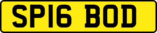 SP16BOD