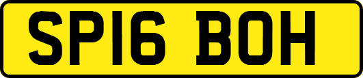 SP16BOH