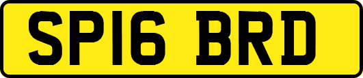 SP16BRD