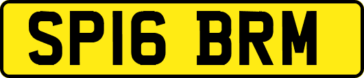 SP16BRM