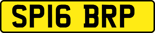 SP16BRP