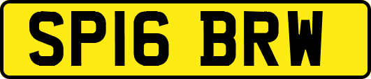 SP16BRW