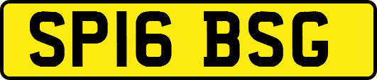 SP16BSG