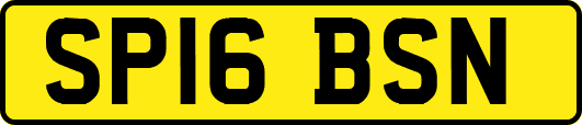 SP16BSN