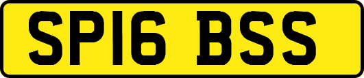 SP16BSS