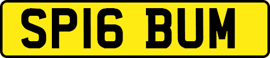 SP16BUM