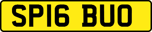 SP16BUO