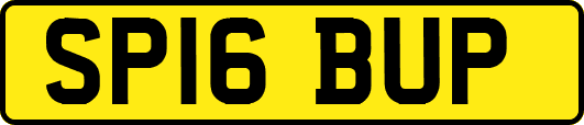 SP16BUP