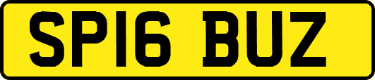 SP16BUZ
