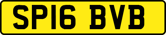 SP16BVB