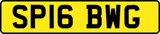 SP16BWG