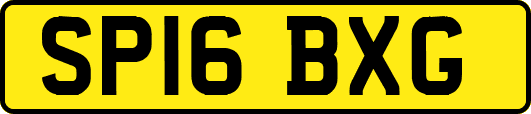 SP16BXG