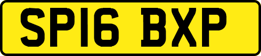 SP16BXP