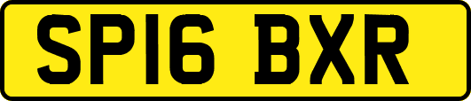 SP16BXR