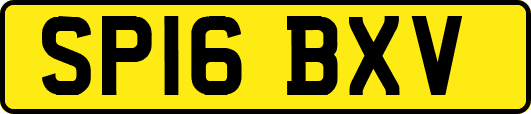 SP16BXV