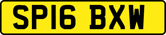 SP16BXW