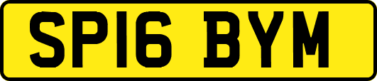 SP16BYM